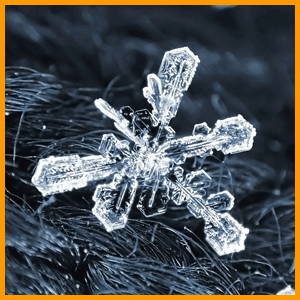snowflakes / снежинки