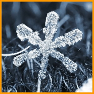 snowflake / снежинка