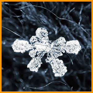 snowflake / снежинка